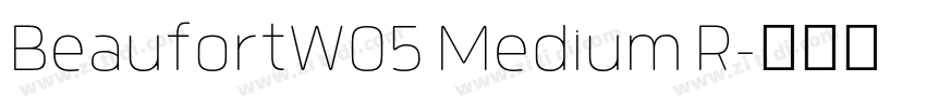 BeaufortW05 Medium R字体转换